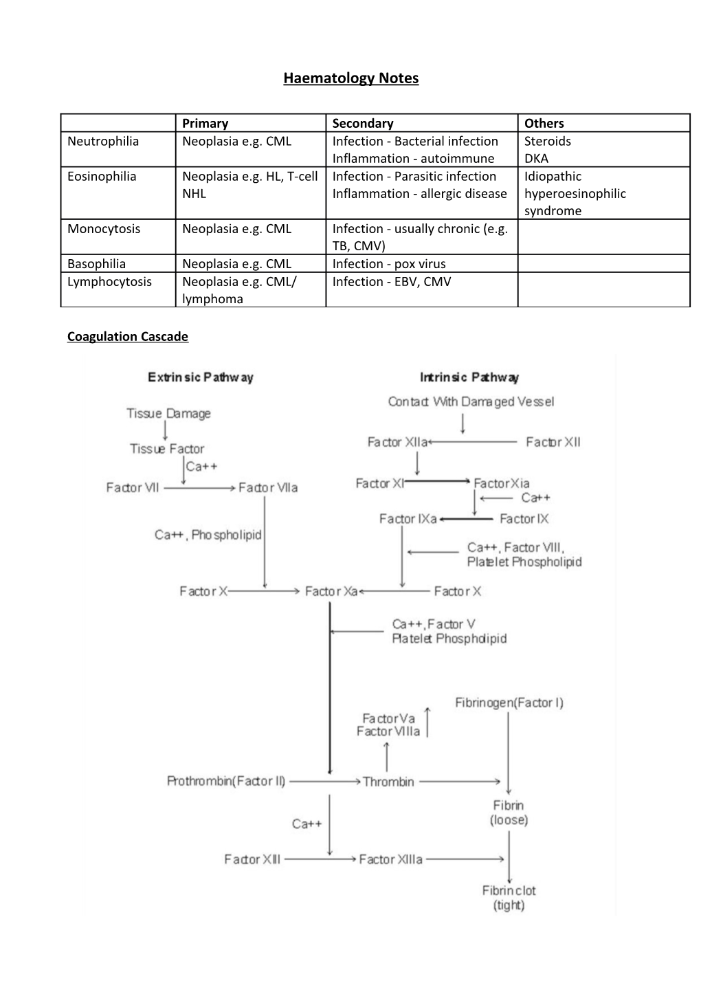 Haematology Notes