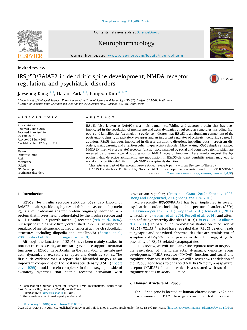 Irsp53/BAIAP2 in Dendritic Spine Development, NMDA Receptor Regulation, and Psychiatric Disorders