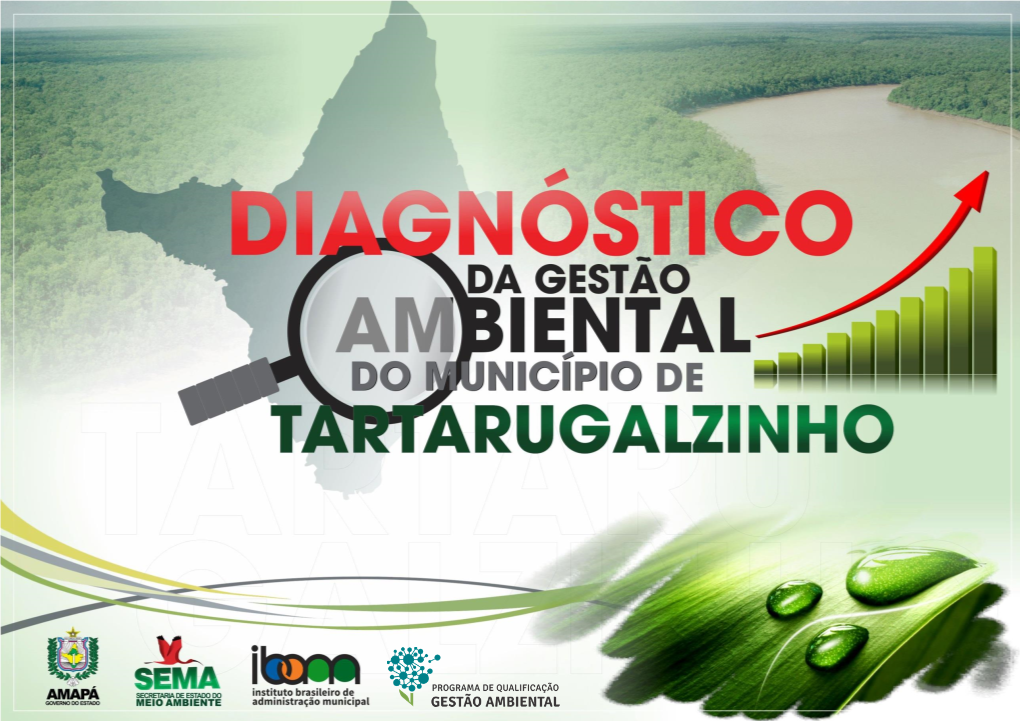 Relatório Diagnóstico Da Gestão Ambiental Do Município De Tartarugalzinho