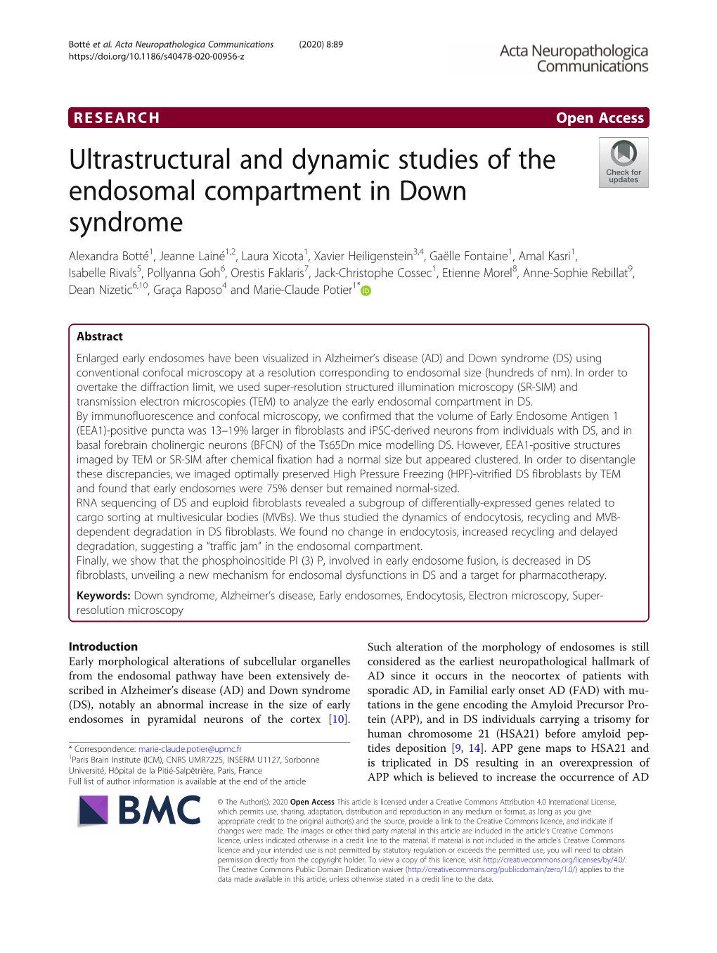 Ultrastructural and Dynamic Studies of the Endosomal Compartment in Down Syndrome