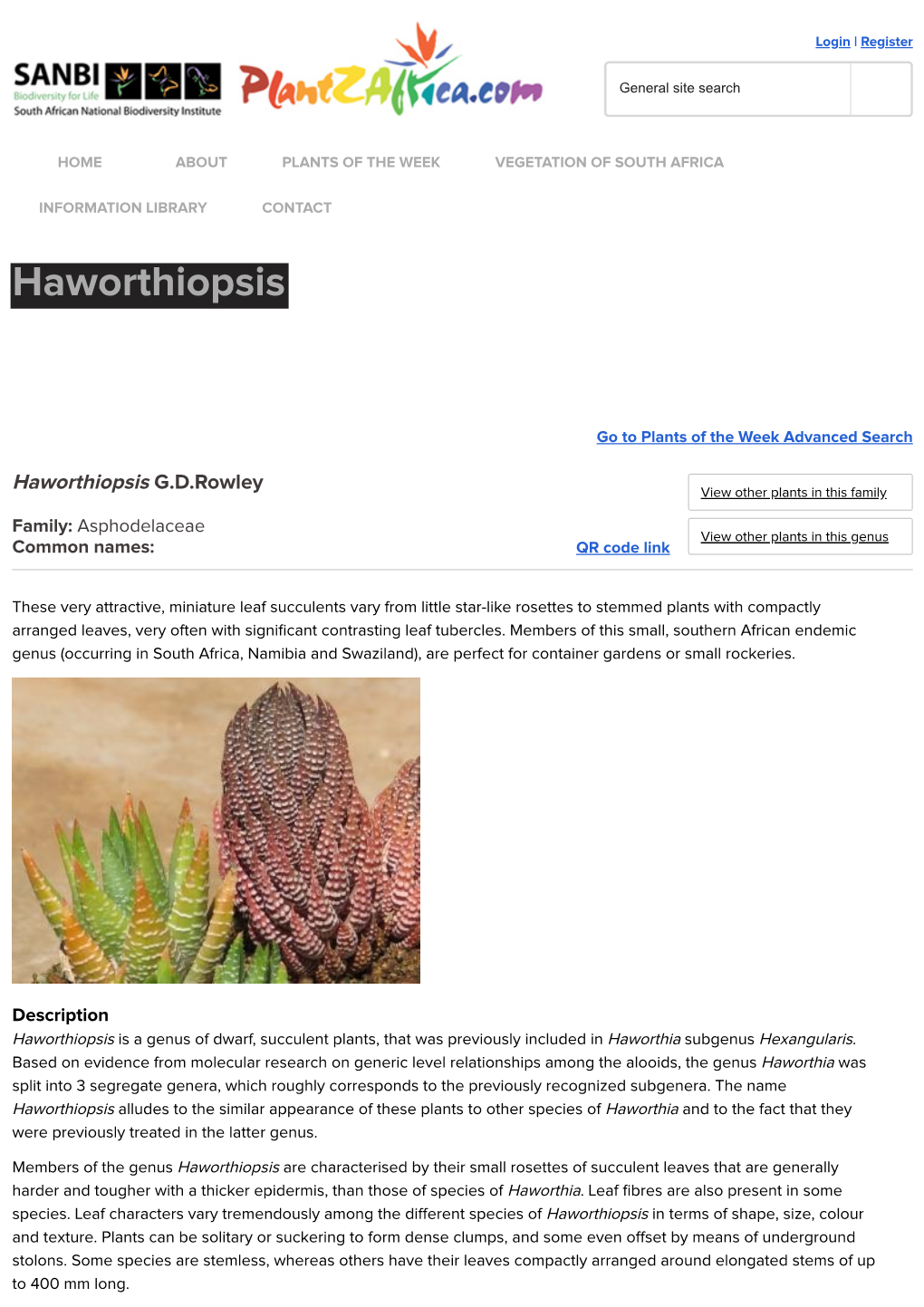 Haworthiopsis