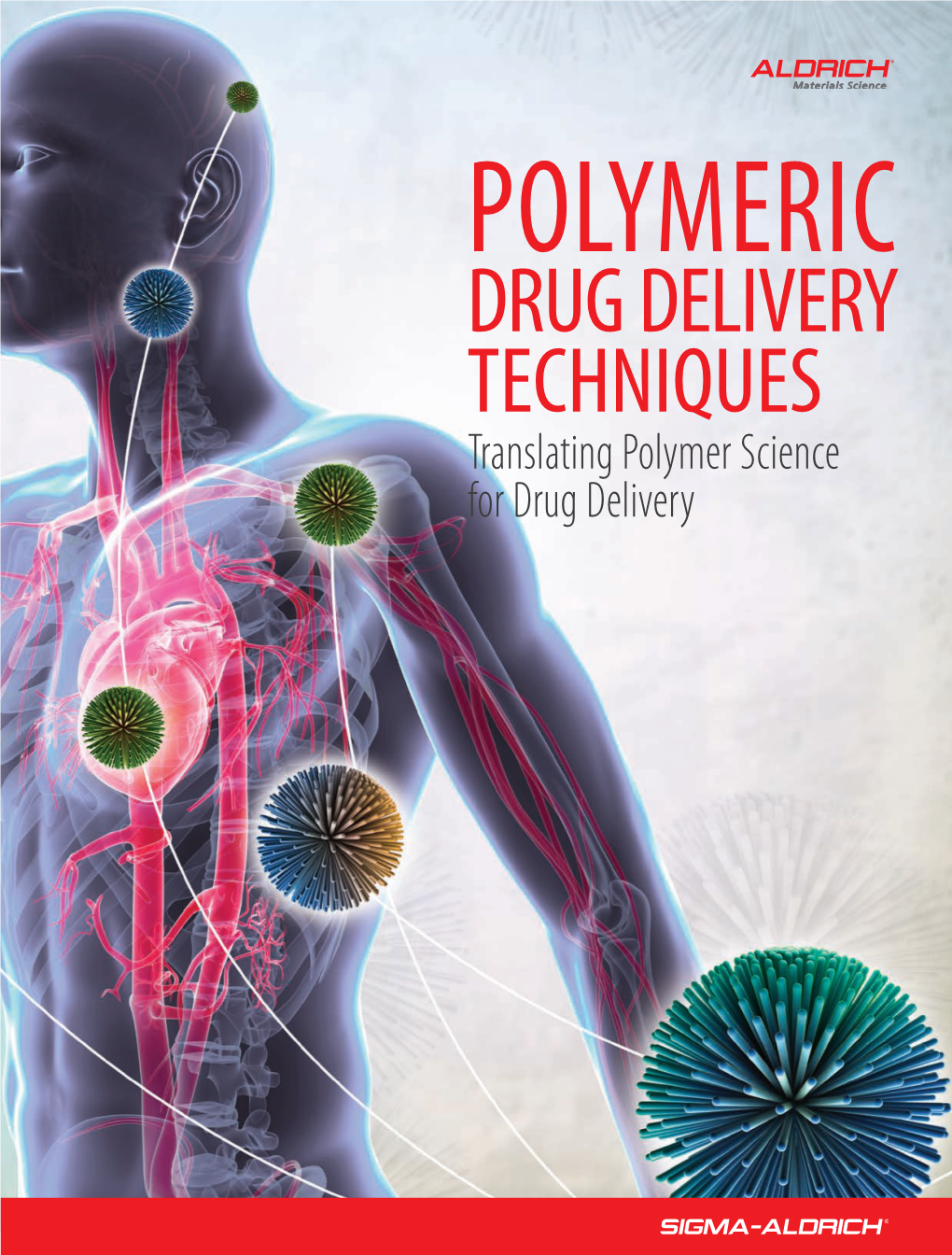 Polymer Drug Delivery Techniques