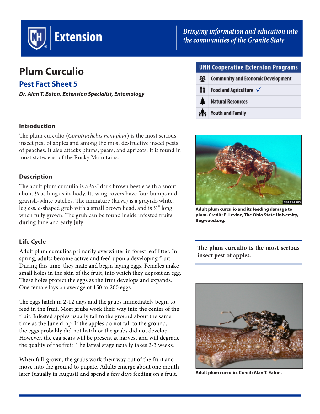 Plum Curculio Pest Fact Sheet 5 Dr