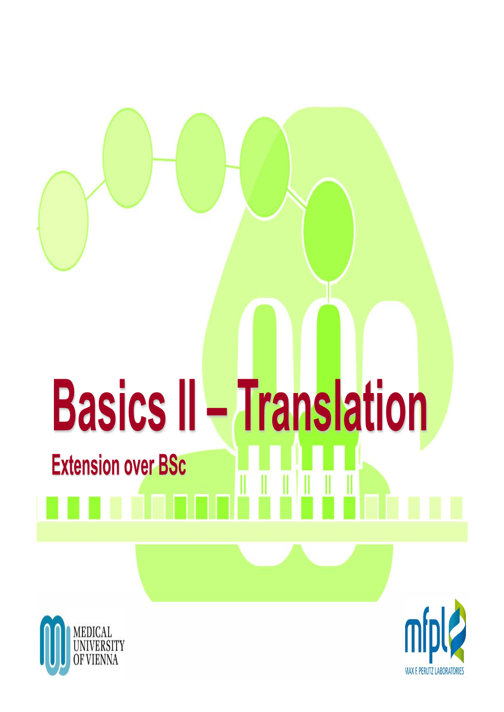 Basics II – Translation Extension Over Bsc Trna Binding Sites in Ribosomes