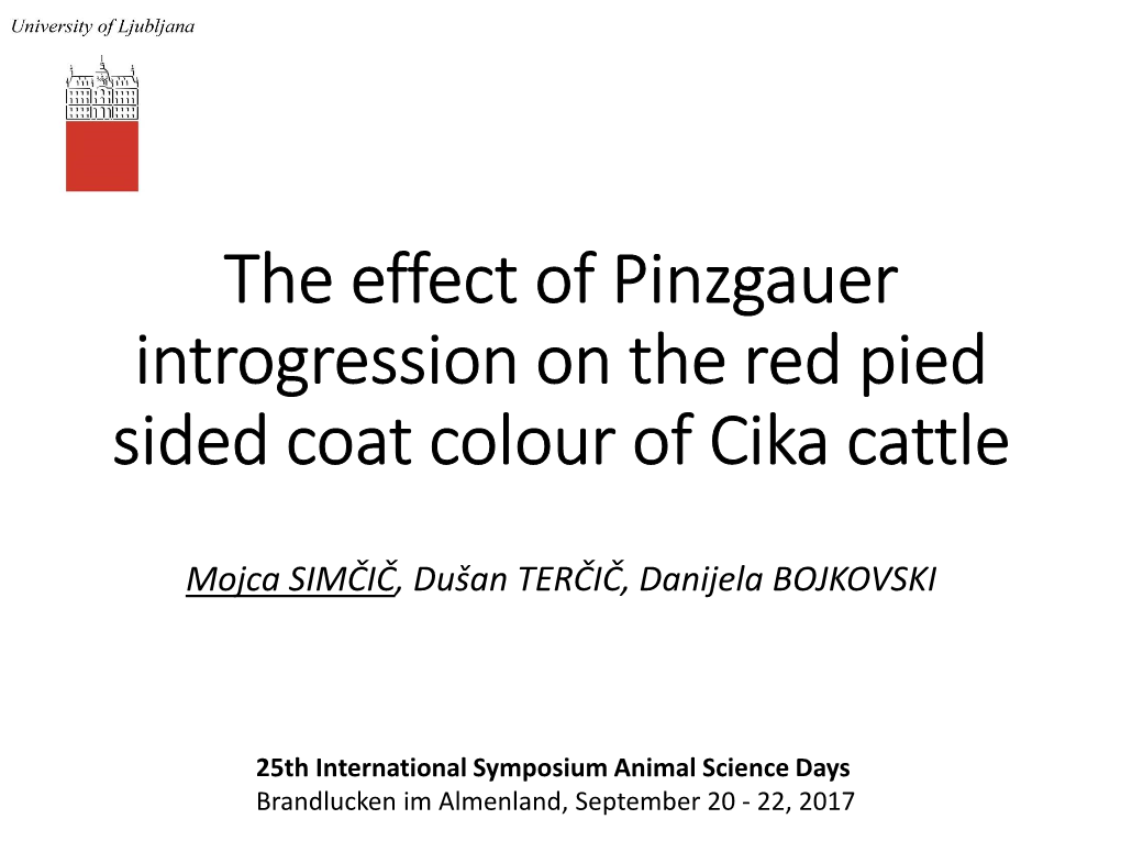 The Effect of Pinzgauer Introgression on the Red Pied Sided Coat Colour of Cika Cattle