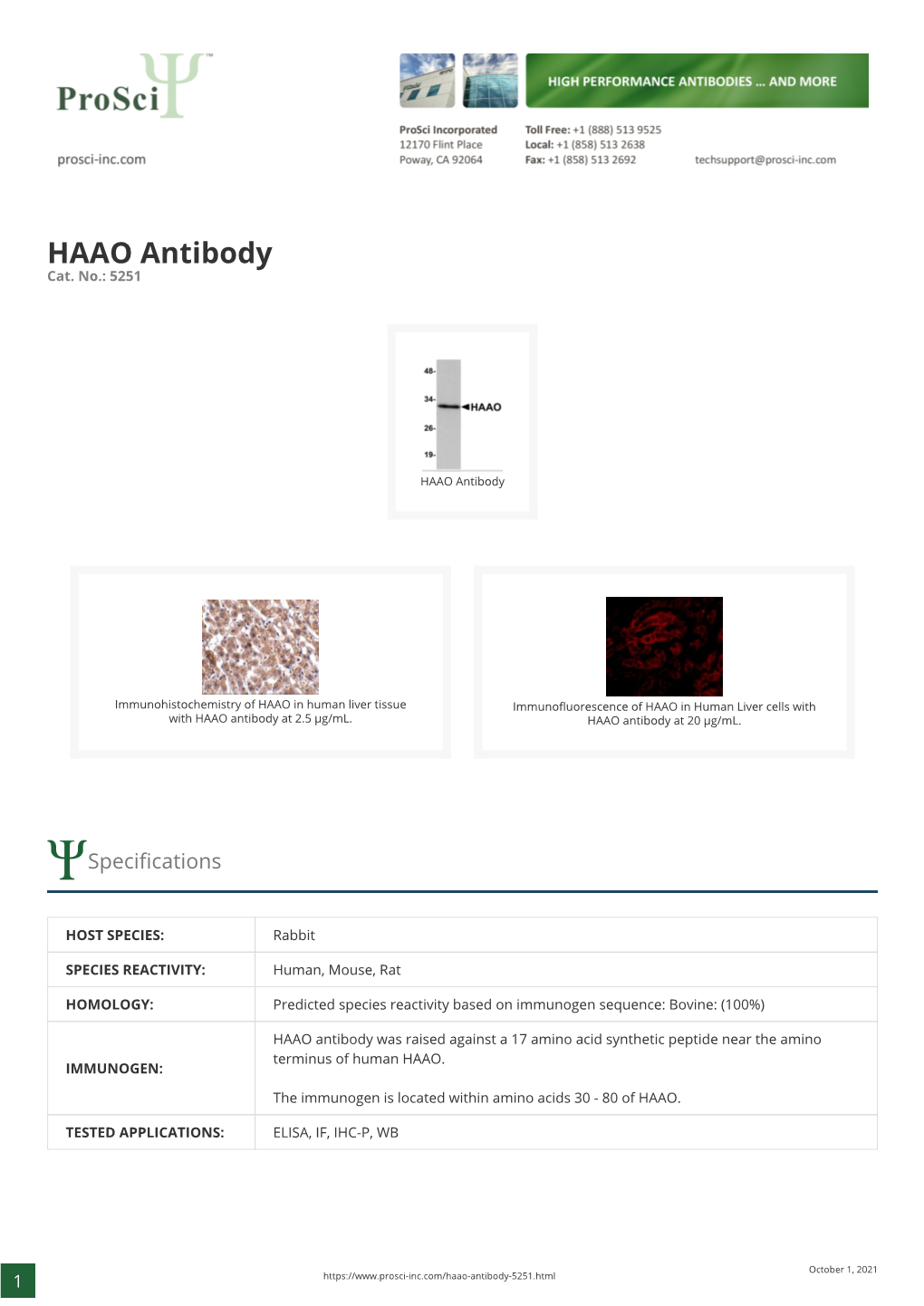 HAAO Antibody Cat