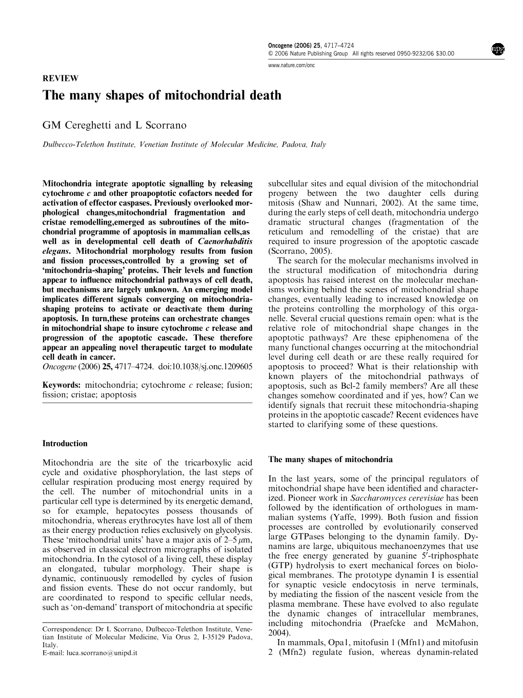 The Many Shapes of Mitochondrial Death