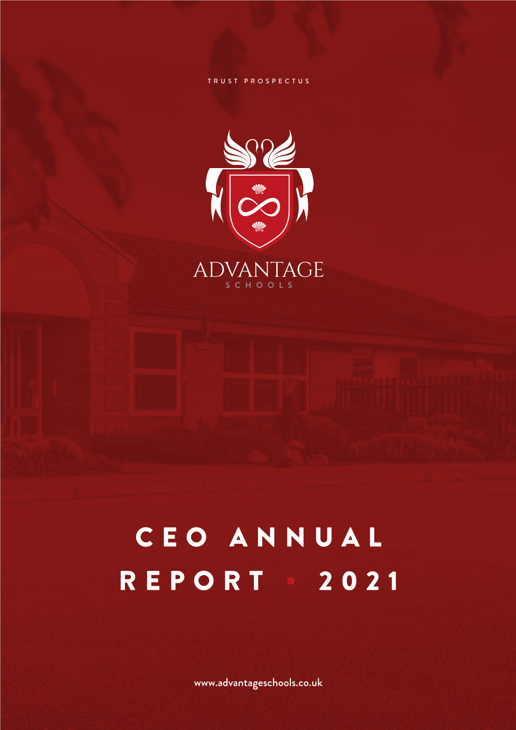 Ceo Annual Report • 2021