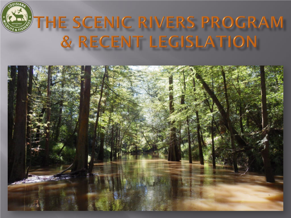 Dredging the Mouth of the Tchefuncte River for Navigation and Flood Control Purposes