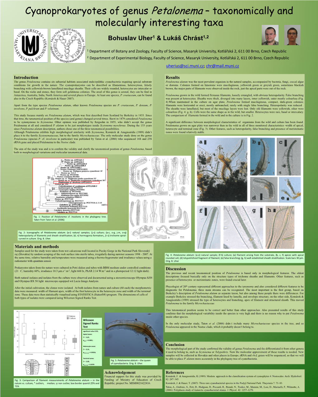 Petalonema Alatum Was the Most Prevalent Organism in the Natural Samples, Accompanied by Bacteria, Fungi, Coccal Algae Conditions for Growth in the Nature