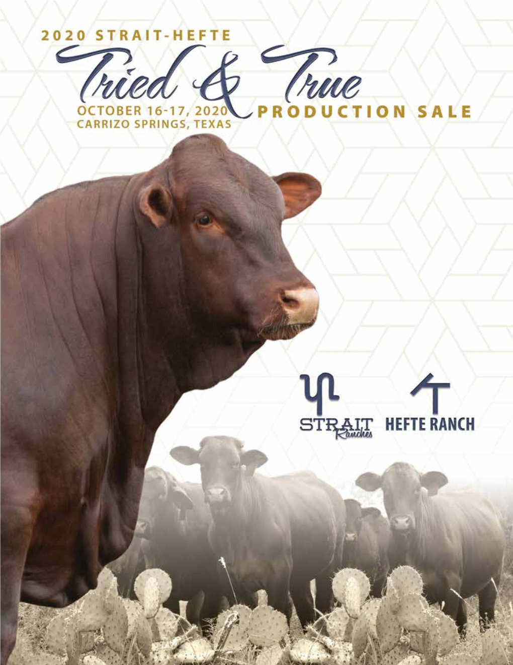 2020 Strait-Hefte Tried and True Production Sale