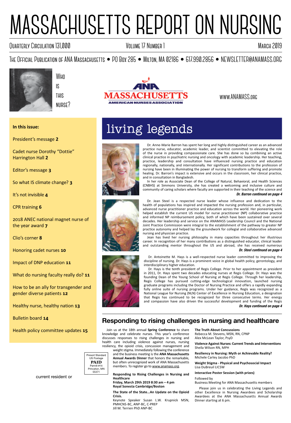Massachusetts Report on Nursing