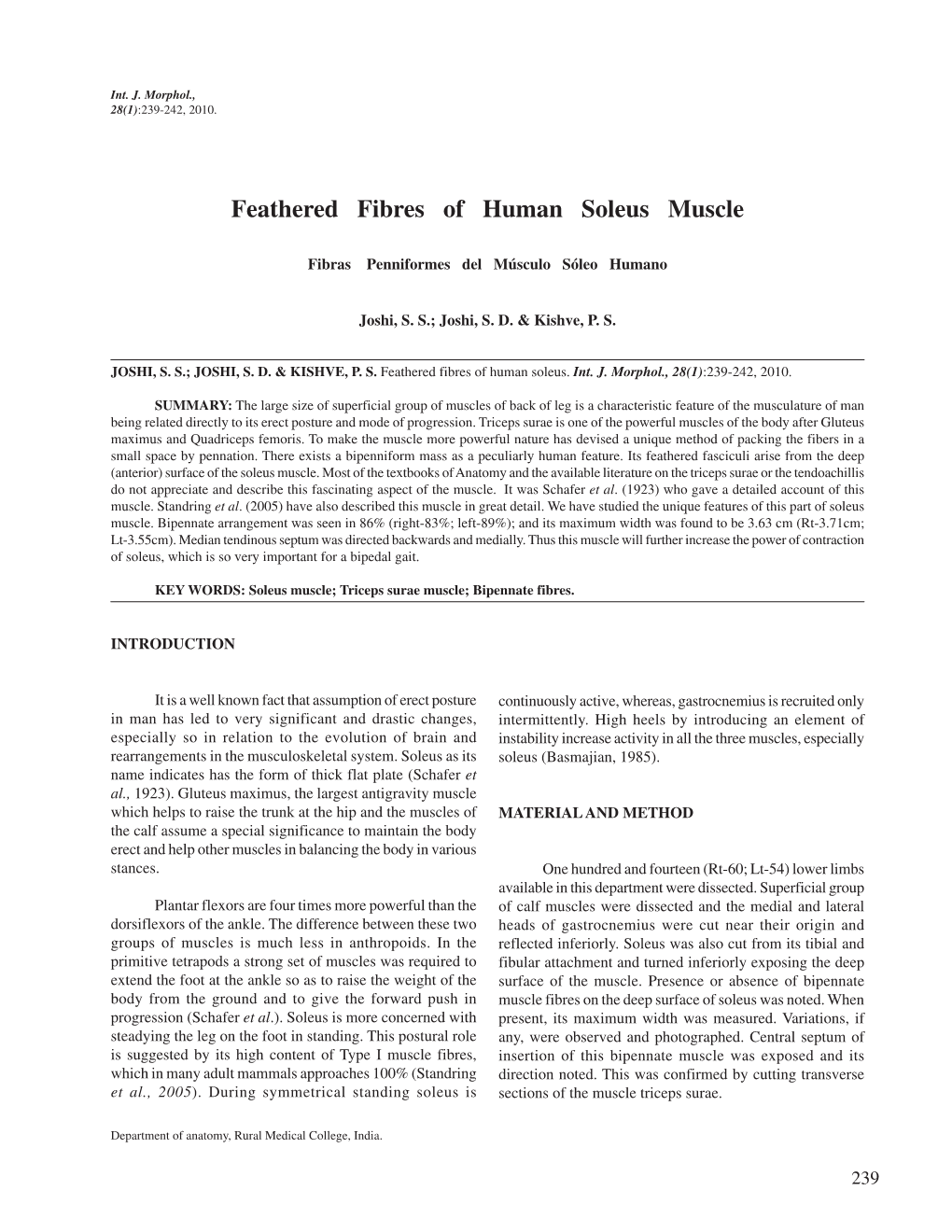 Feathered Fibres of Human Soleus Muscle