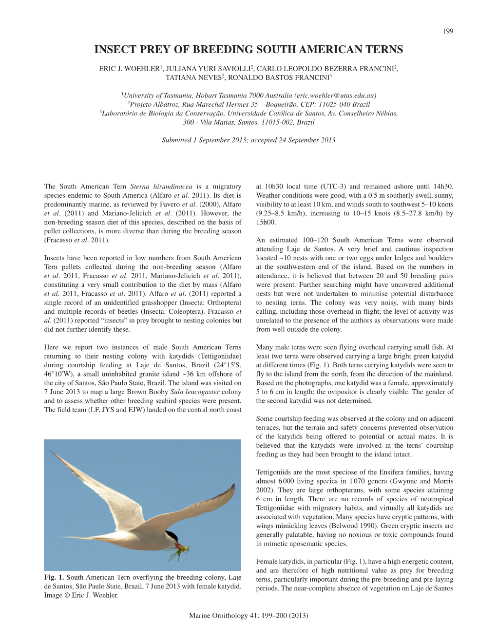Insect Prey of Breeding South American Terns