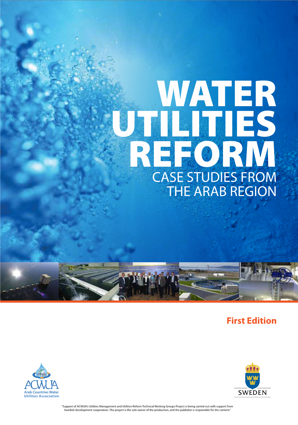 Water Utilities Reform – Case Studies from the Arab Region