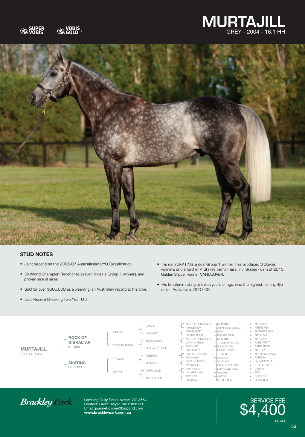 Stallion Brochure