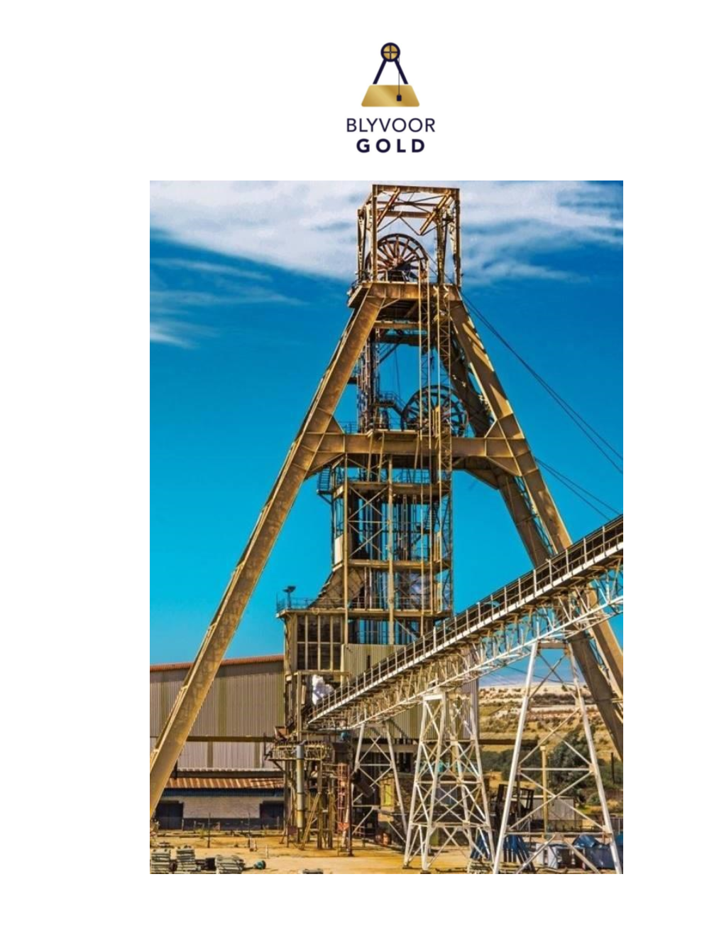 Blyvoor-Gold-Company-Profile..Pdf