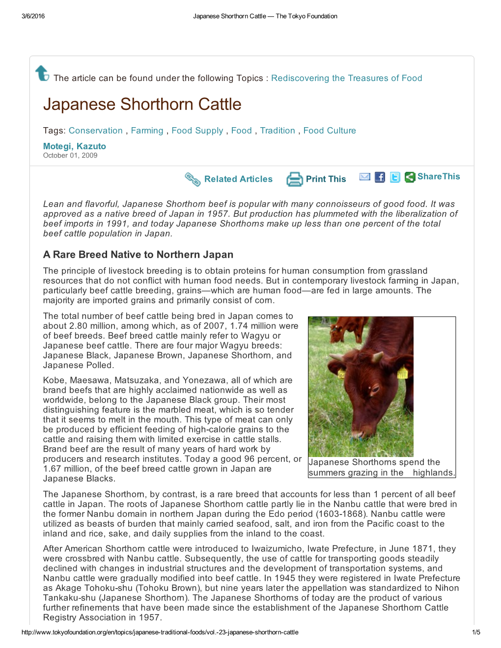 Japanese Shorthorn Cattle — the Tokyo Foundation