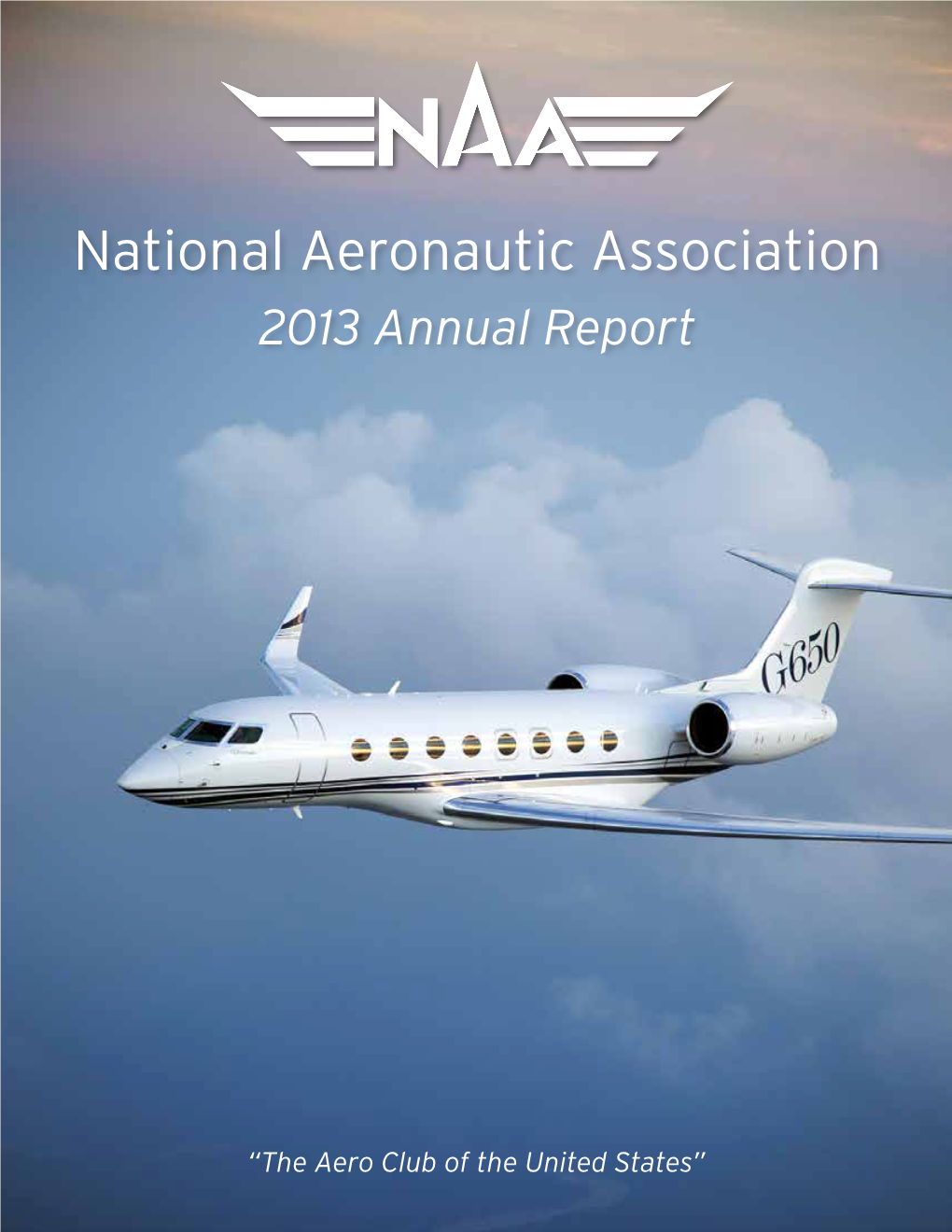 2013 Annual Report