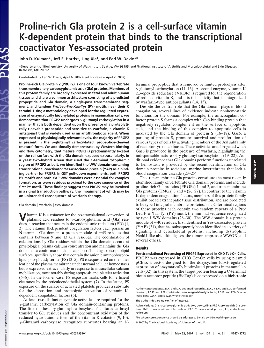 Proline-Rich Gla Protein 2 Is a Cell-Surface Vitamin K-Dependent Protein That Binds to the Transcriptional Coactivator Yes-Associated Protein