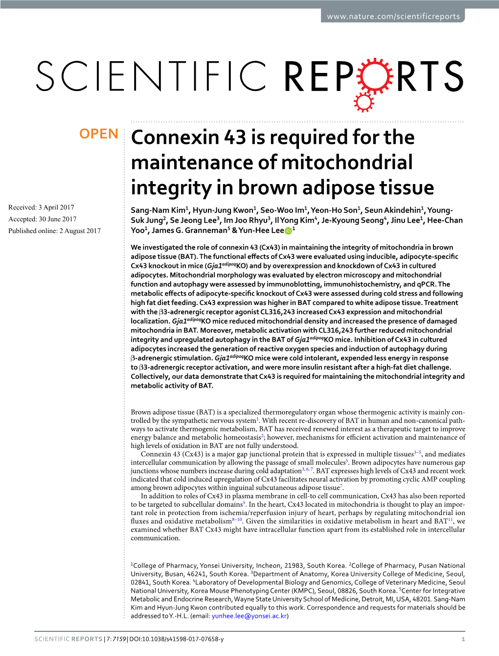 Connexin 43 Is Required for the Maintenance of Mitochondrial