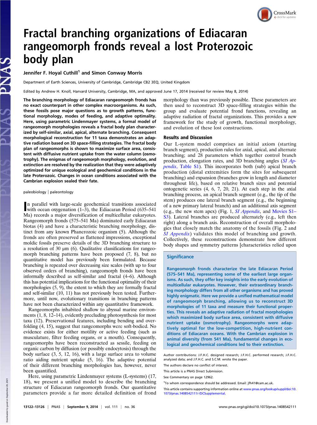 Fractal Branching Organizations of Ediacaran Rangeomorph Fronds Reveal a Lost Proterozoic Body Plan