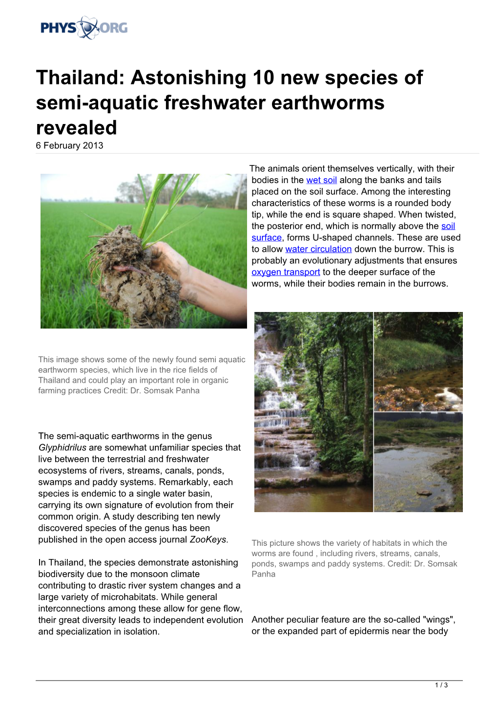 Thailand: Astonishing 10 New Species of Semi-Aquatic Freshwater Earthworms Revealed 6 February 2013