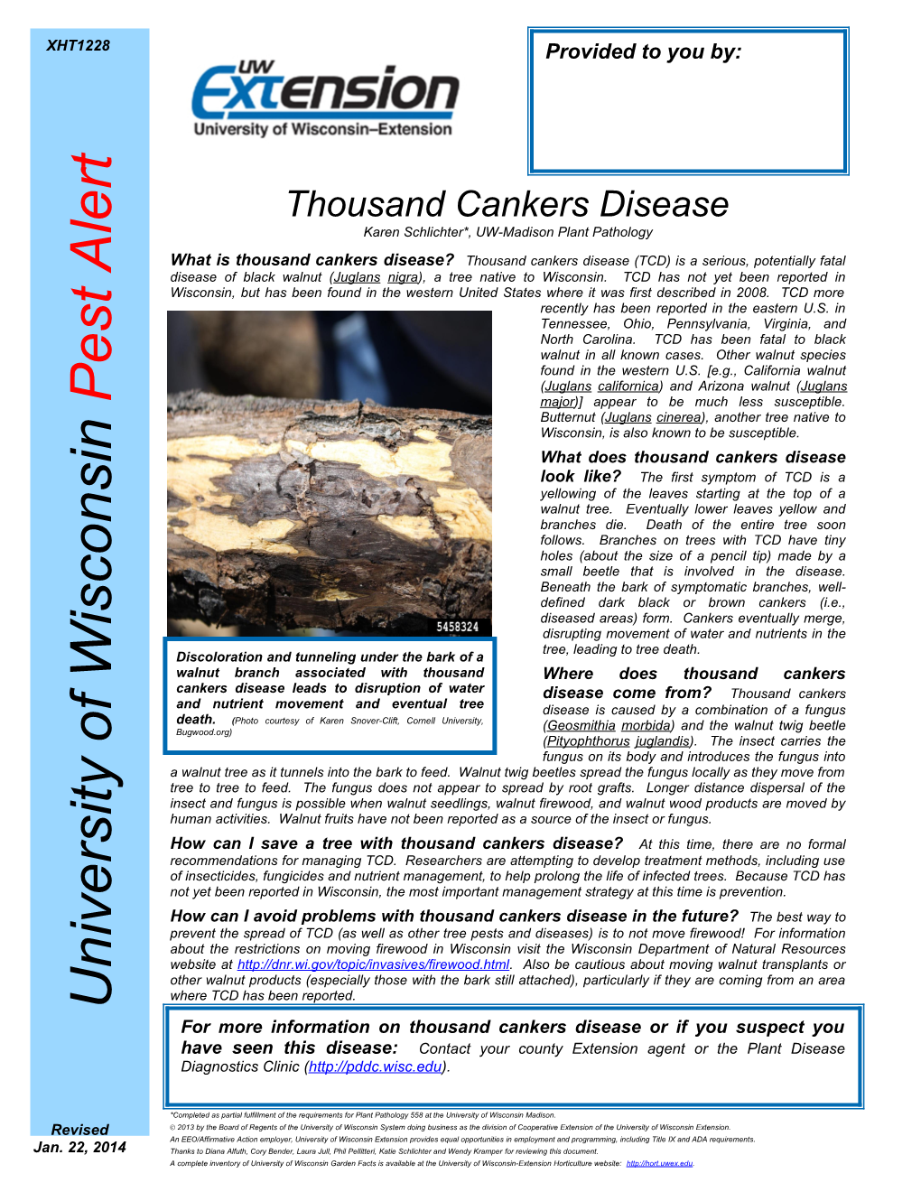 Thousand Cankers Disease