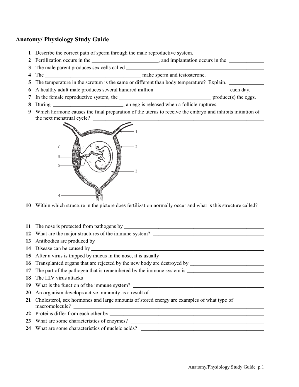 Anatomy/ Physiology Study Guide