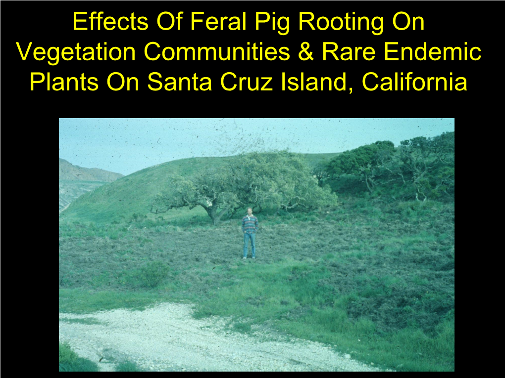 Effects of Feral Pig Rooting on Vegetation Communities & Rare