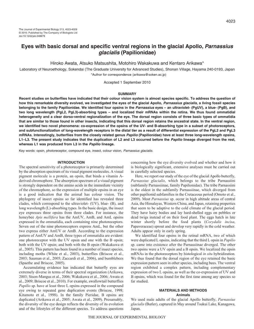 Eyes with Basic Dorsal and Specific Ventral Regions in the Glacial Apollo, Parnassius Glacialis (Papilionidae)