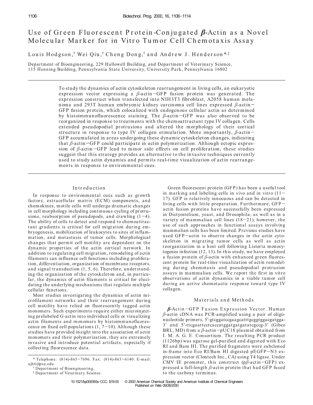 Use of Green Fluorescent Protein-Conjugated Β-Actin As A