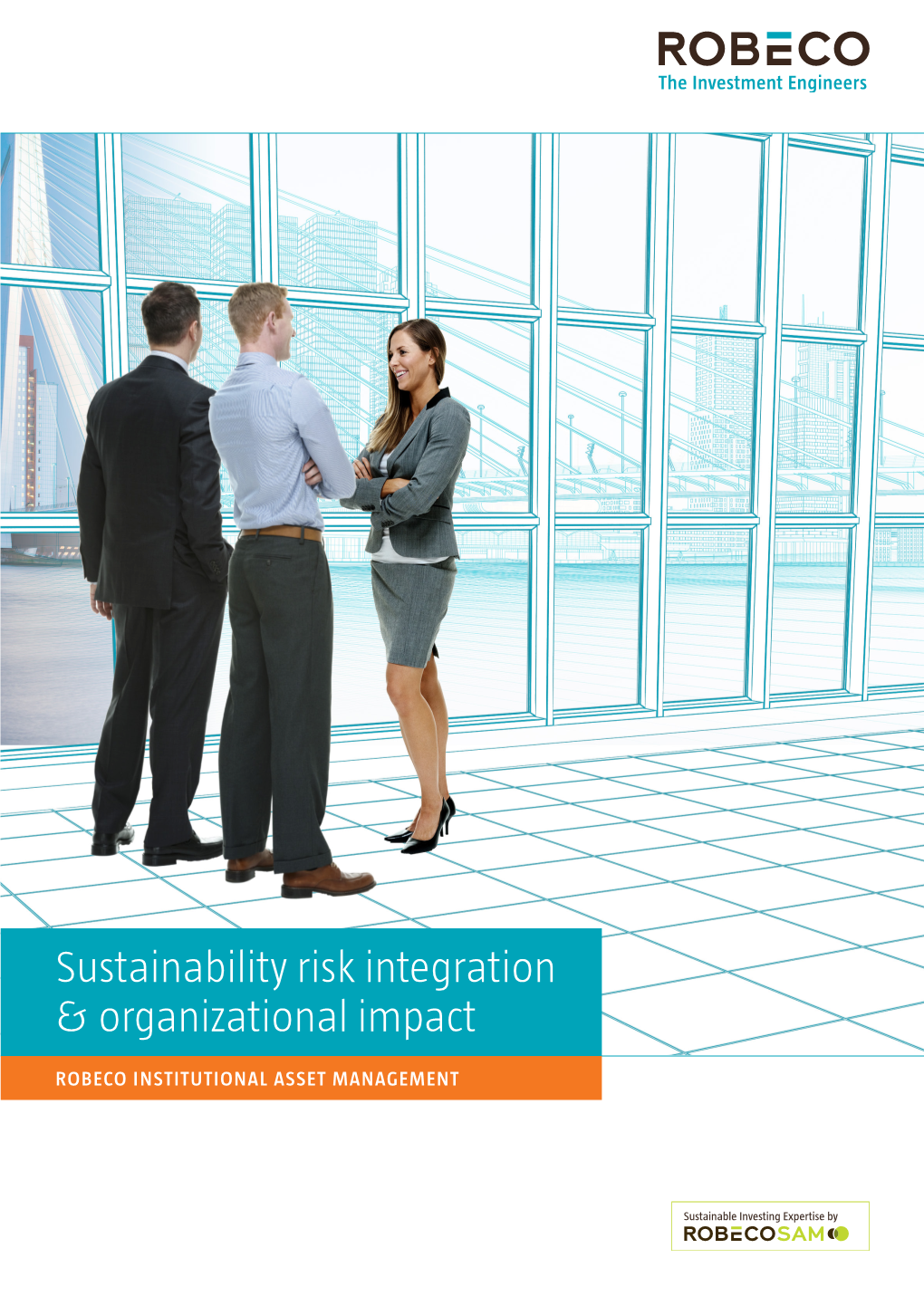 Sustainability Risk Integration & Organizational Impact