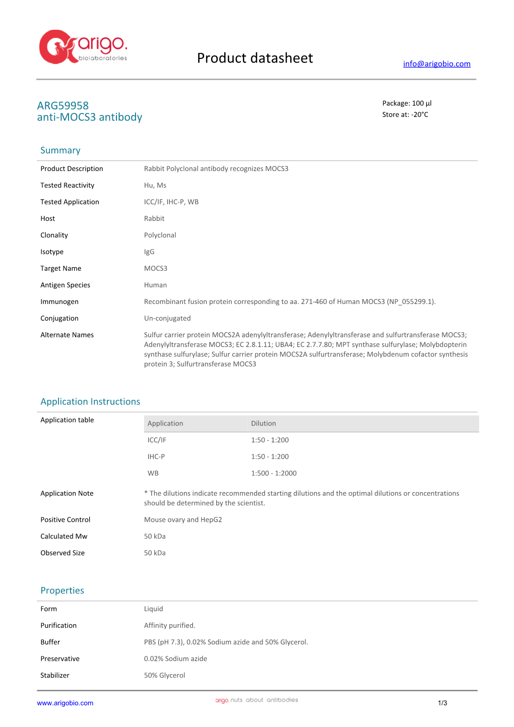 Anti-MOCS3 Antibody (ARG59958)