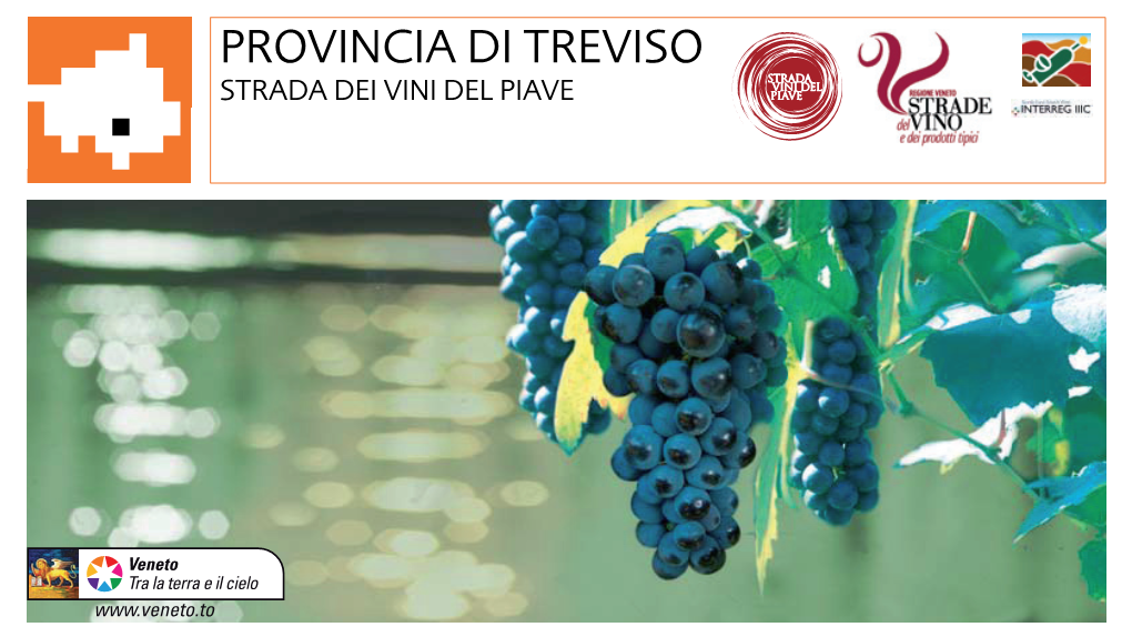 Provincia Di Treviso Strada Dei Vini Del Piave Il Vino E Le Sue Strade