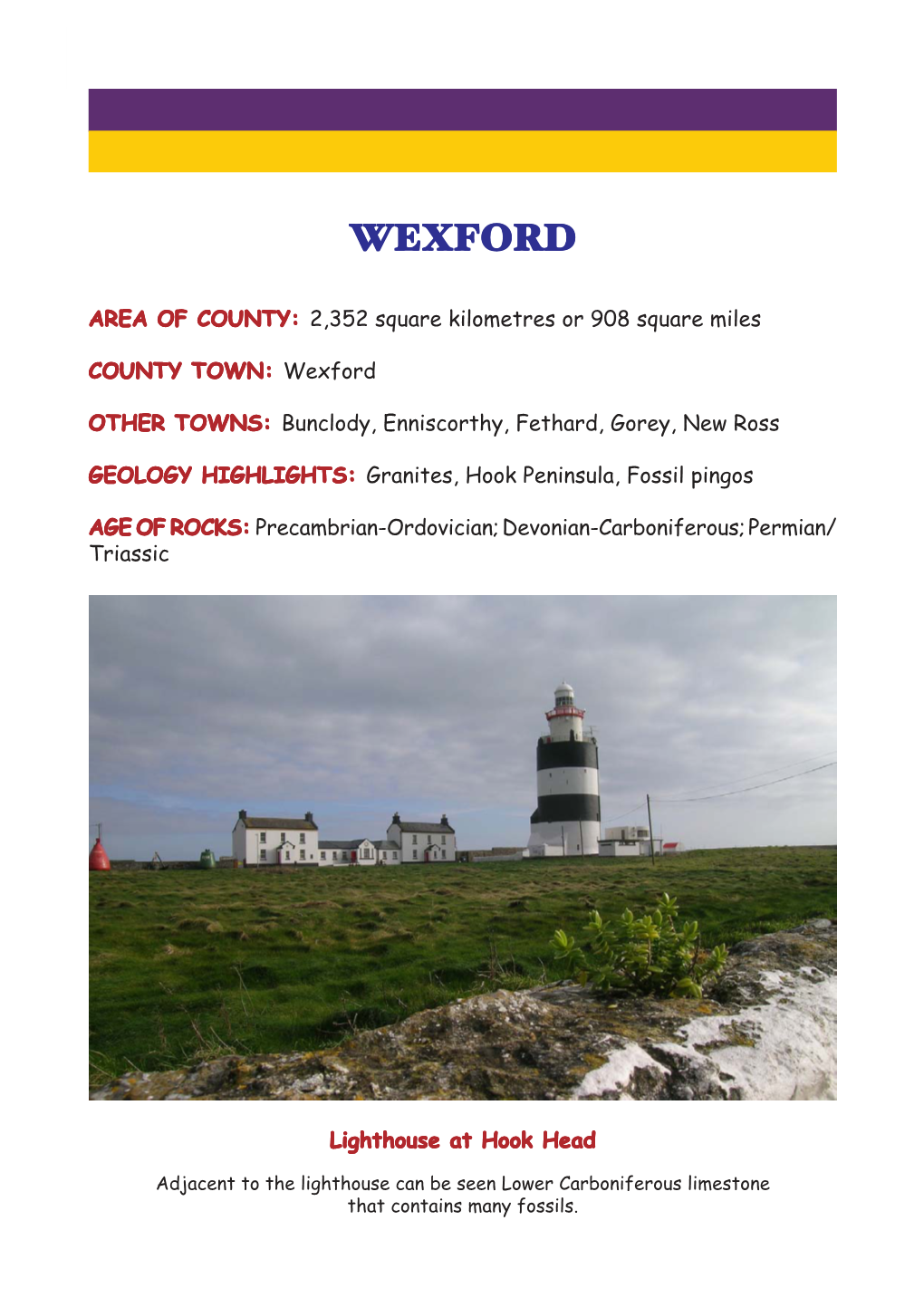 Wexford: COUNTY GEOLOGY of IRELAND 1