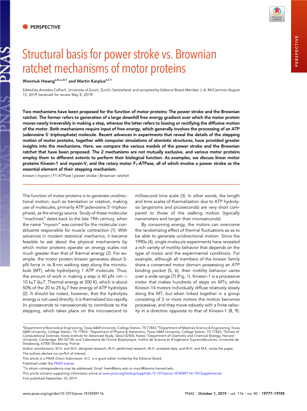 Structural Basis for Power Stroke Vs. Brownian Ratchet Mechanisms of Motor Proteins PERSPECTIVE