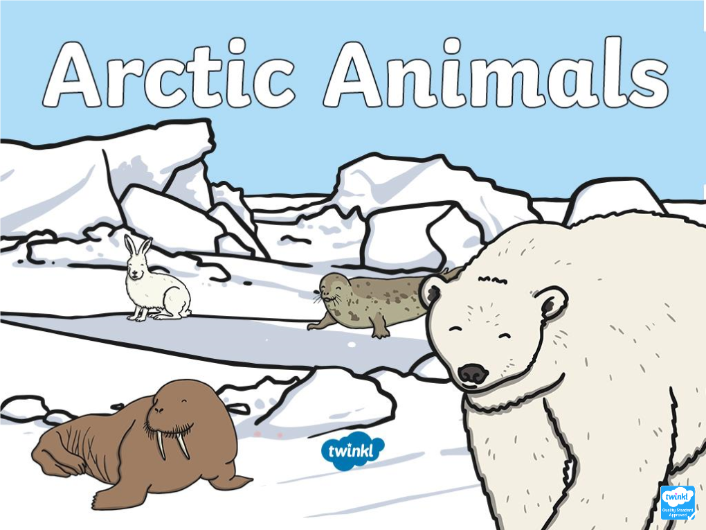 Arctic Animal to Find out a Little More About It