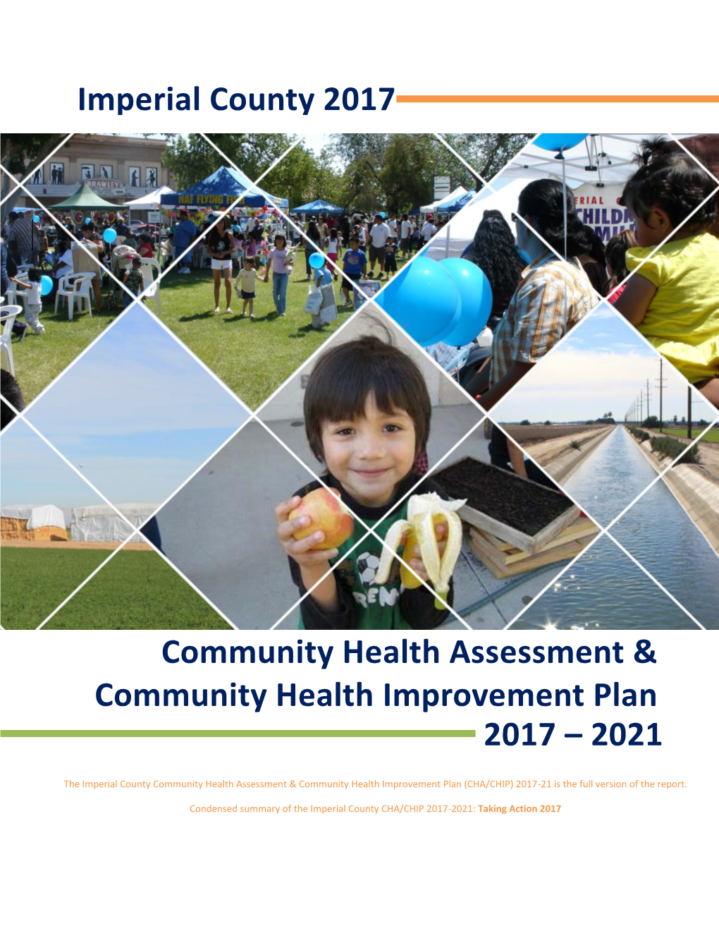 Community Health Improvement Plan (CHIP) 2017-2021 Is the Full Report