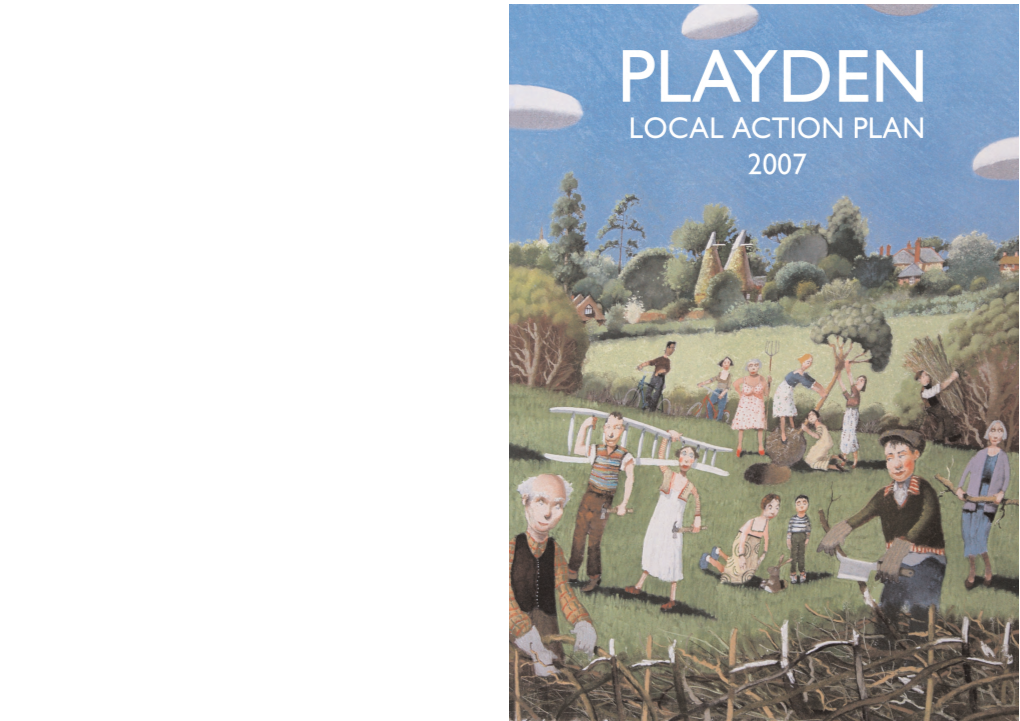 Playden Local Action Plan?