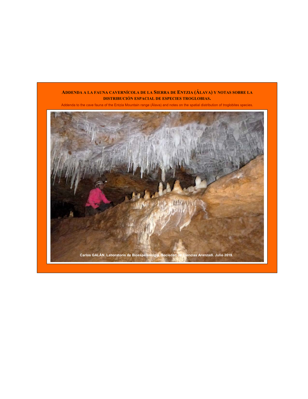 Addenda a La Fauna Cavernícola De La Sierra De Entzia (Álava) Y Notas Sobre La Distribución Espacial De Especies Troglobias