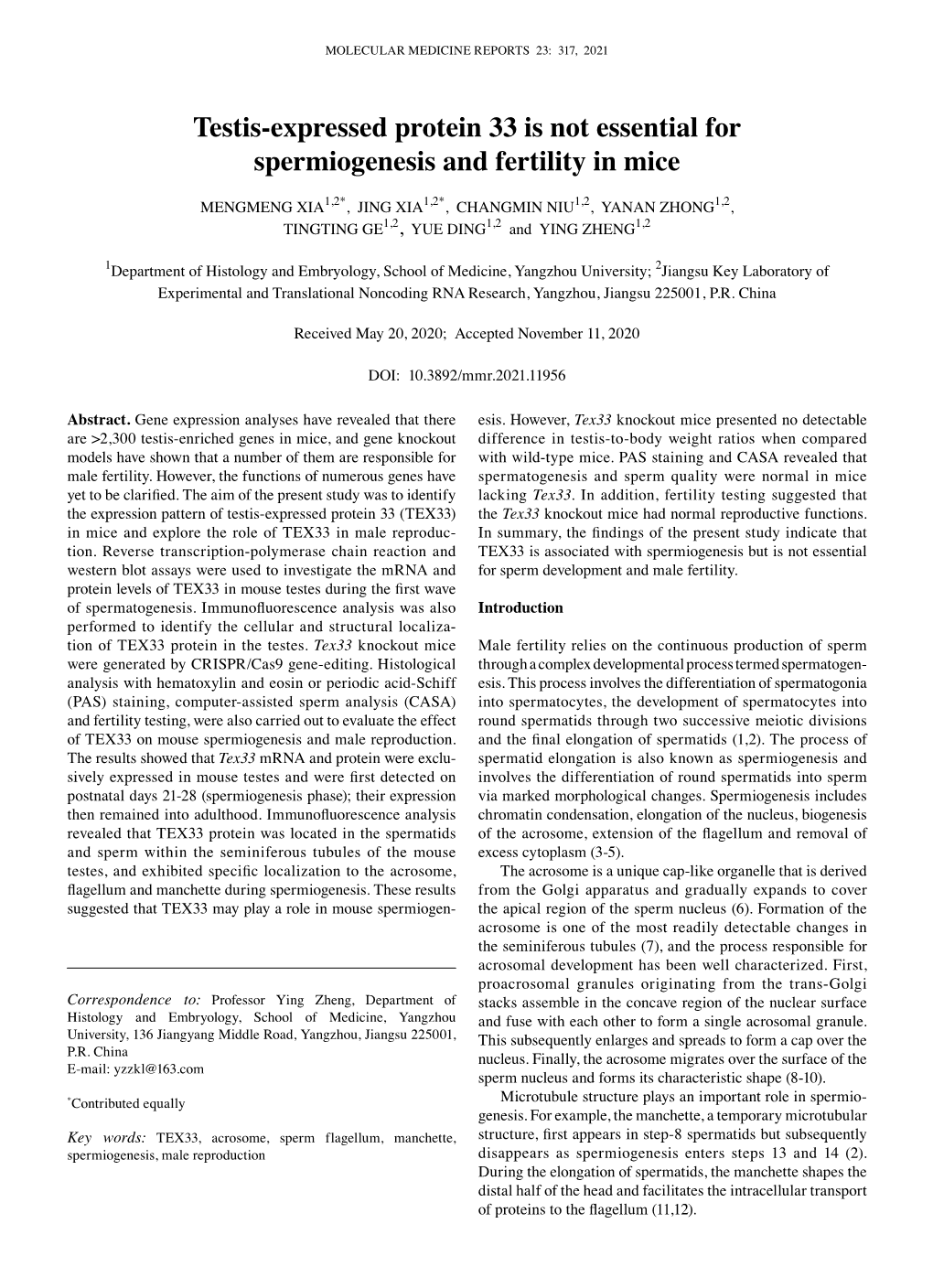 Testis-Expressed Protein 33 Is Not Essential for Spermiogenesis and Fertility in Mice