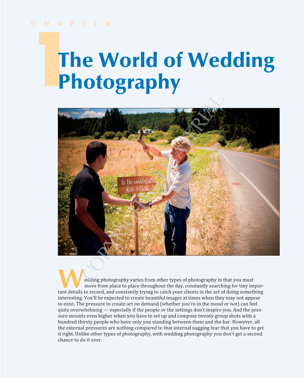 The World of Wedding Photography As a Career, Or Even As a Part Time Job, You Will Soon Learn That This Job Is Not Just About Creating a Few Artistic Images