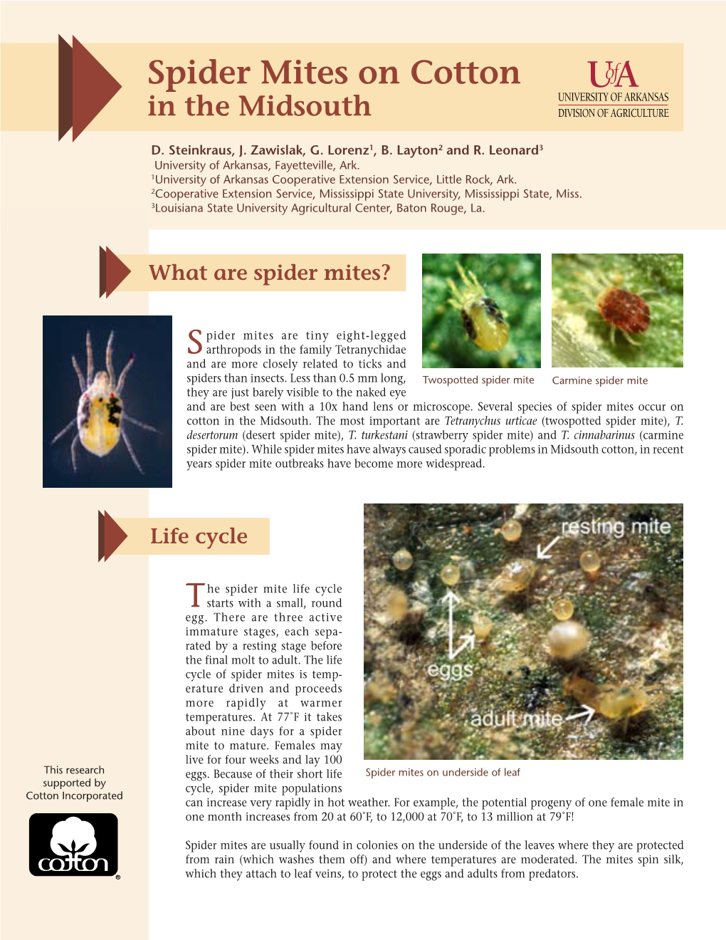 Spider Mite Brochure Copy