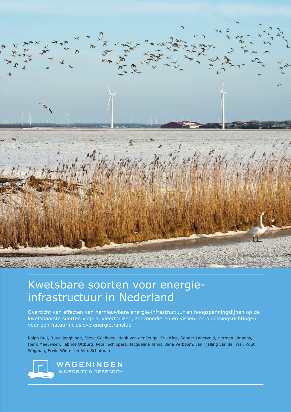 Kwetsbare Soorten Voor Energie- Infrastructuur in Nederland