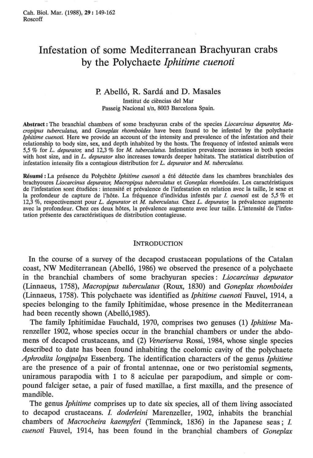 Infestation of Some Mediterranean Brachyuran Crabs by the Polychaete Iphitime Cuenoti