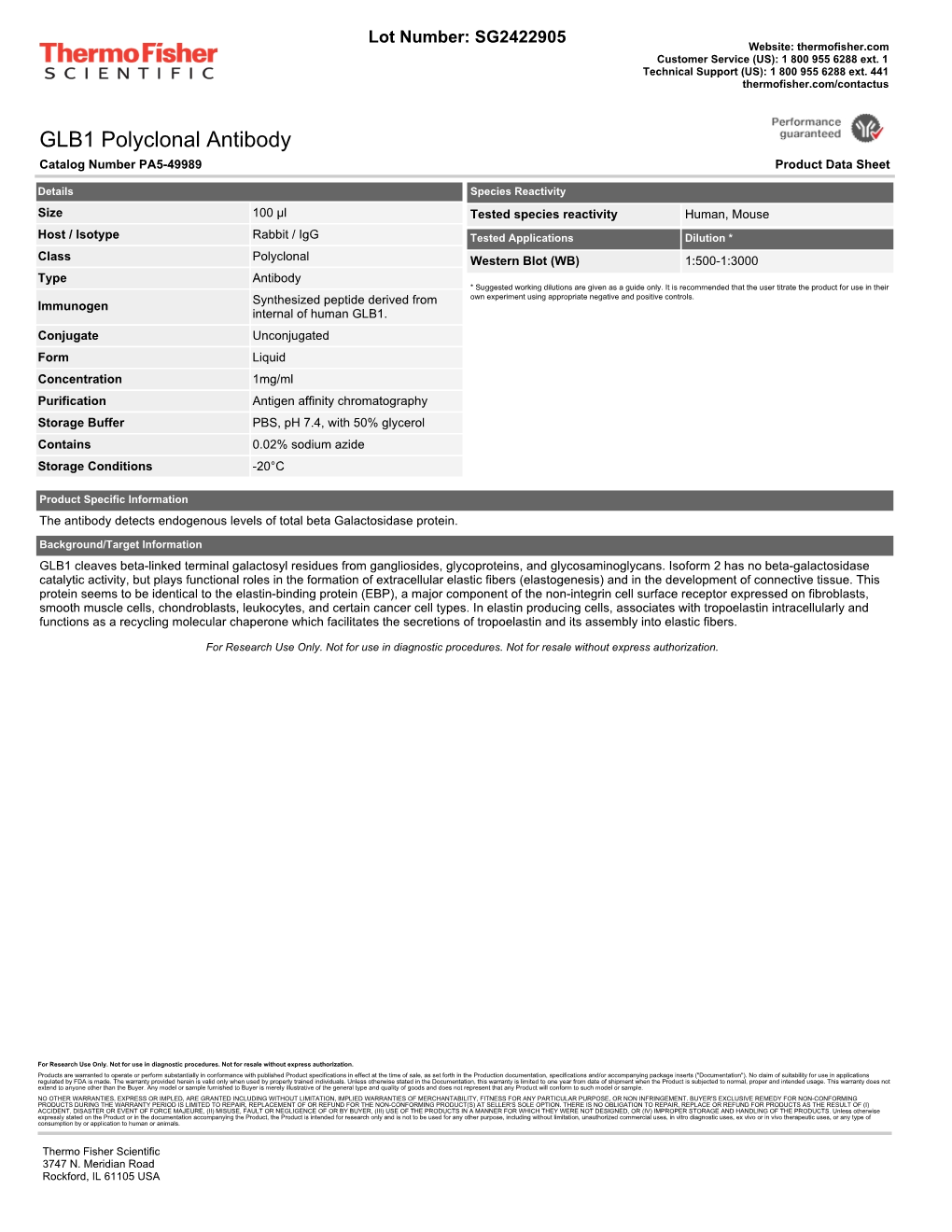 GLB1 Polyclonal Antibody Catalog Number PA5-49989 Product Data Sheet