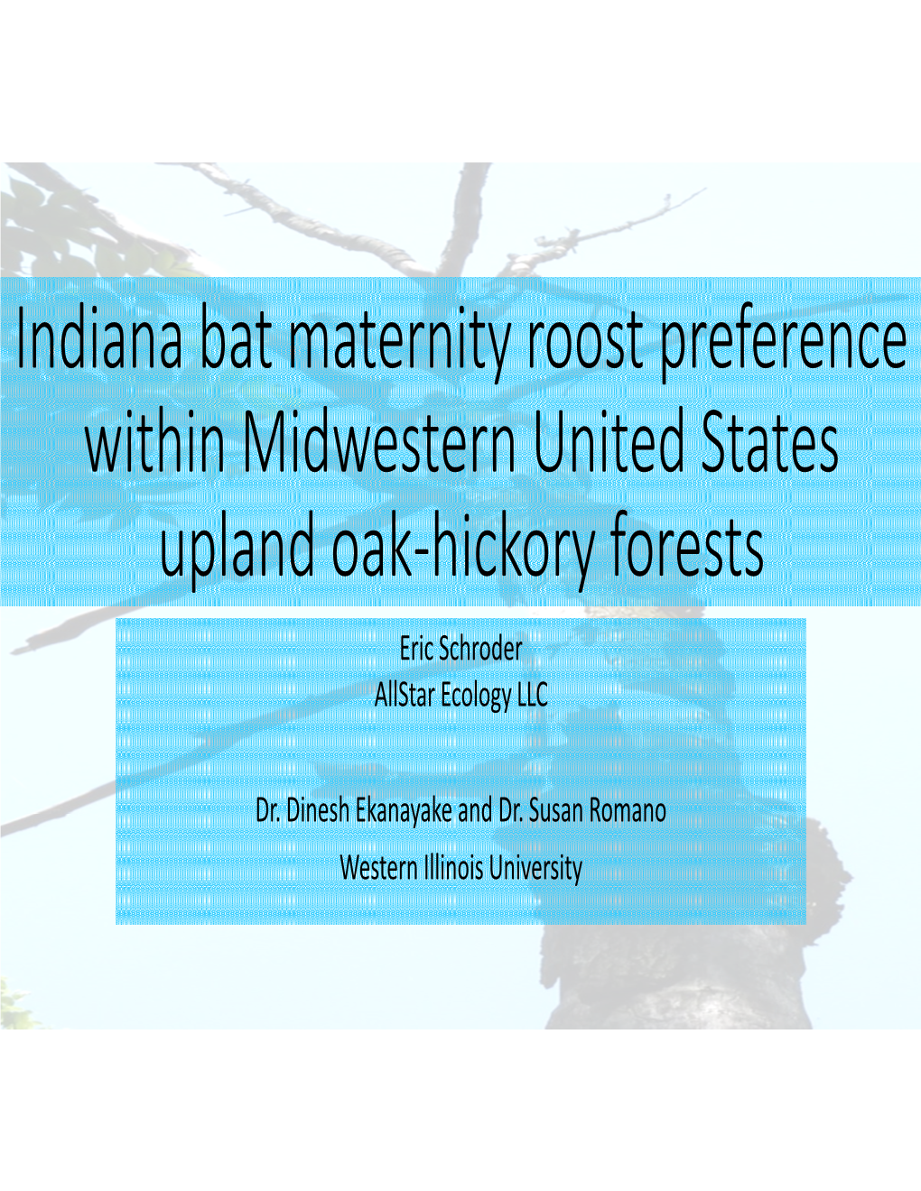 Indiana Bat Maternity Roost Preference Within Midwestern United States Upland Oak-Hickory Forests Eric Schroder Allstar Ecology LLC