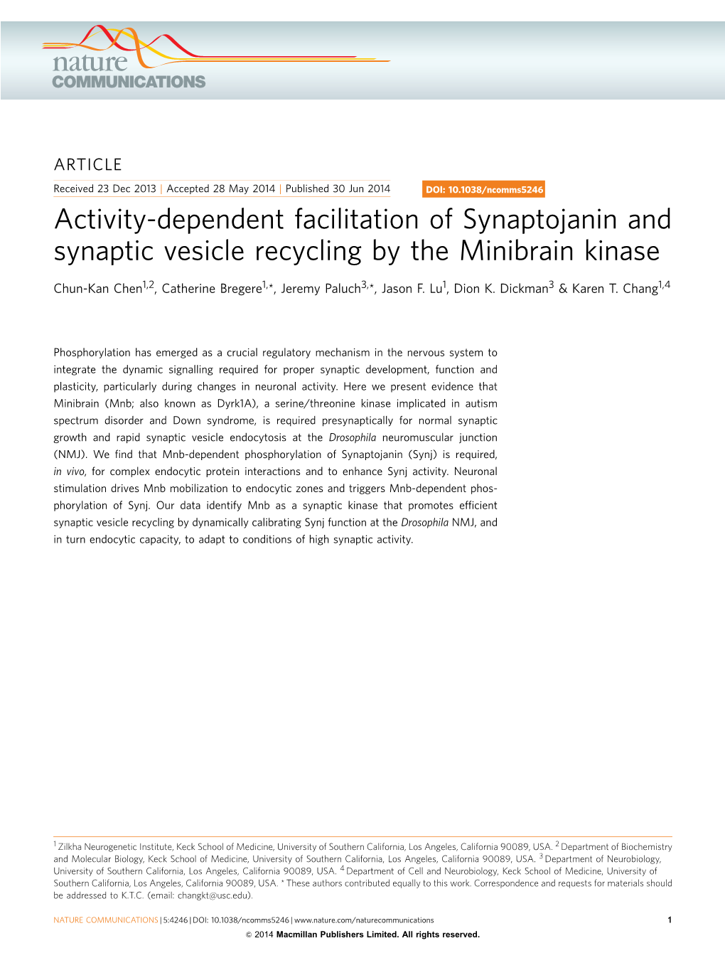 Activity-Dependent Facilitation of Synaptojanin and Synaptic Vesicle Recycling by the Minibrain Kinase