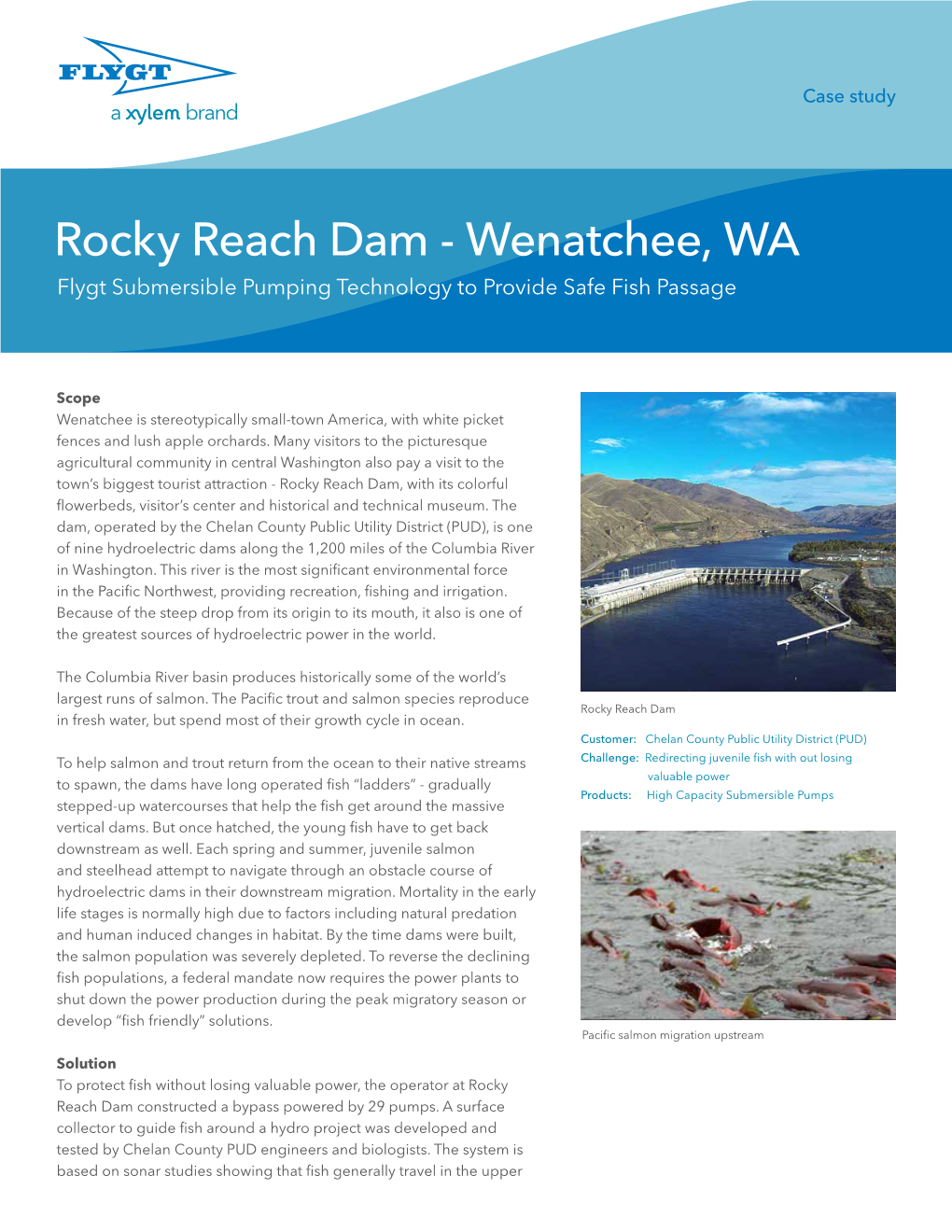 Rocky Reach Dam - Wenatchee, WA Flygt Submersible Pumping Technology to Provide Safe Fish Passage